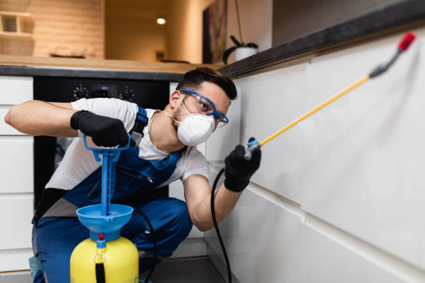 Best Pest Removal Services  in Bertram, TX