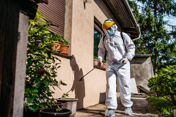 Best Wasp Removal Services  in Bertram, TX