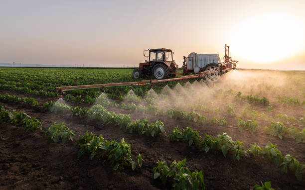 Best Pest Control for Homes  in Bertram, TX