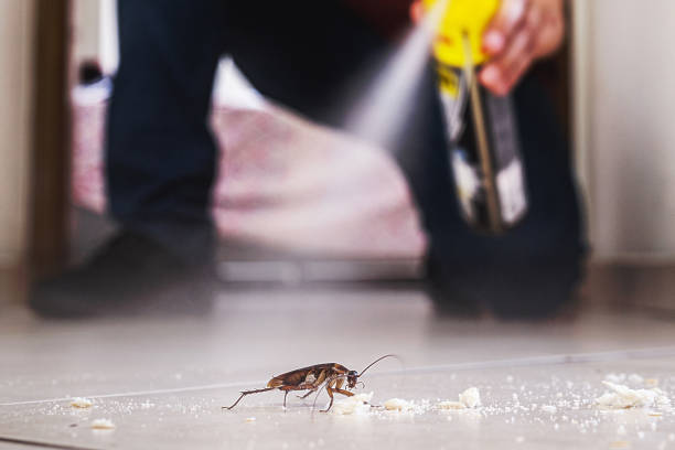 Best Cockroach Control Services  in Bertram, TX