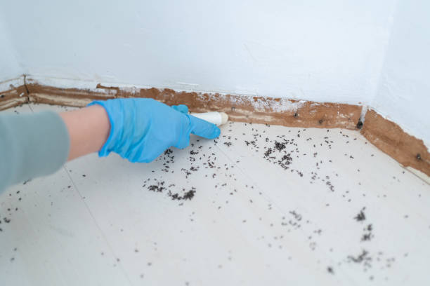 Bertram, TX Pest Control Company