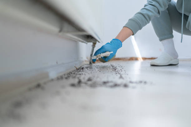 Professional Pest Control in Bertram, TX